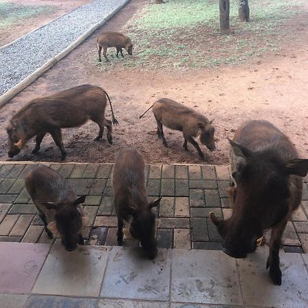 Makhato Bush Lodge 111 Bela-Bela Εξωτερικό φωτογραφία